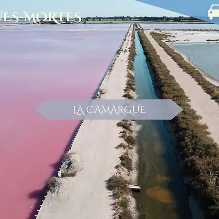 Apartamento 085 - Les Villégiales - 4 Pers - Piscine - Golf