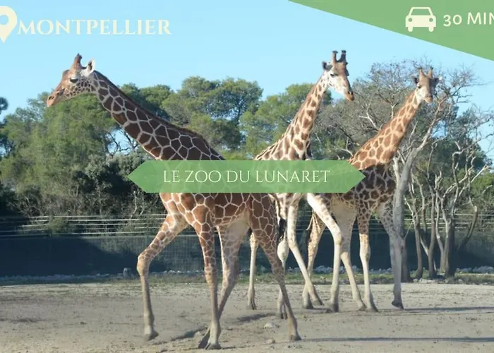 085 - Les Villegiales - 4 Pers - Piscine - Golf La Grande-Motte